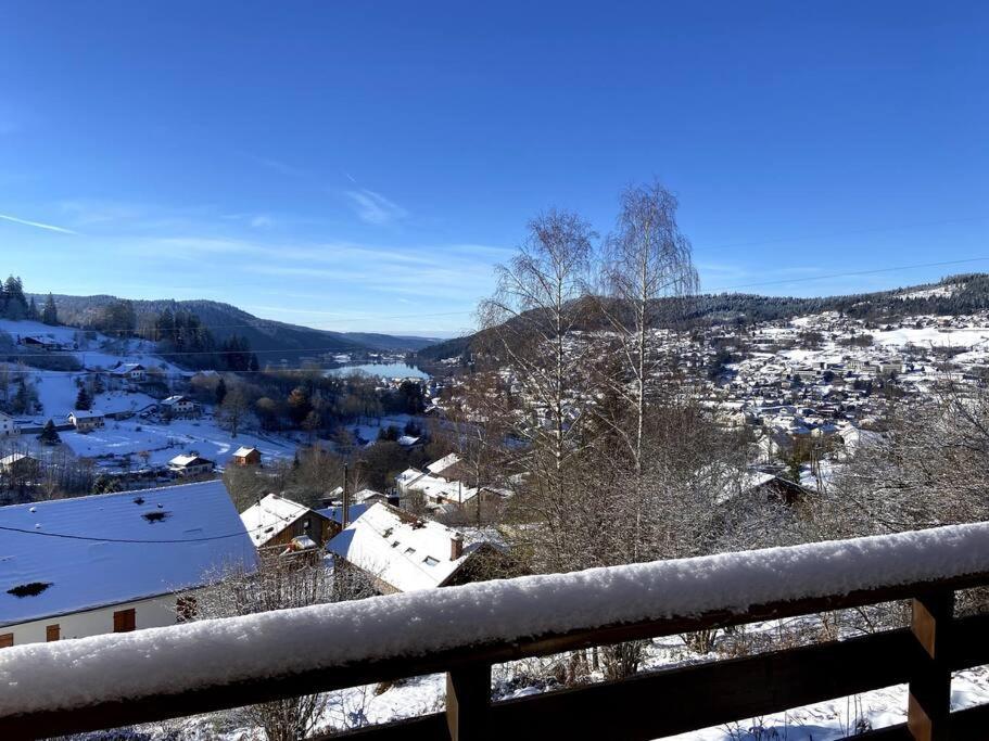 F3 Superbe Vue Lac, Grand Balcon, Ambiance Nature Gérardmer Exterior foto