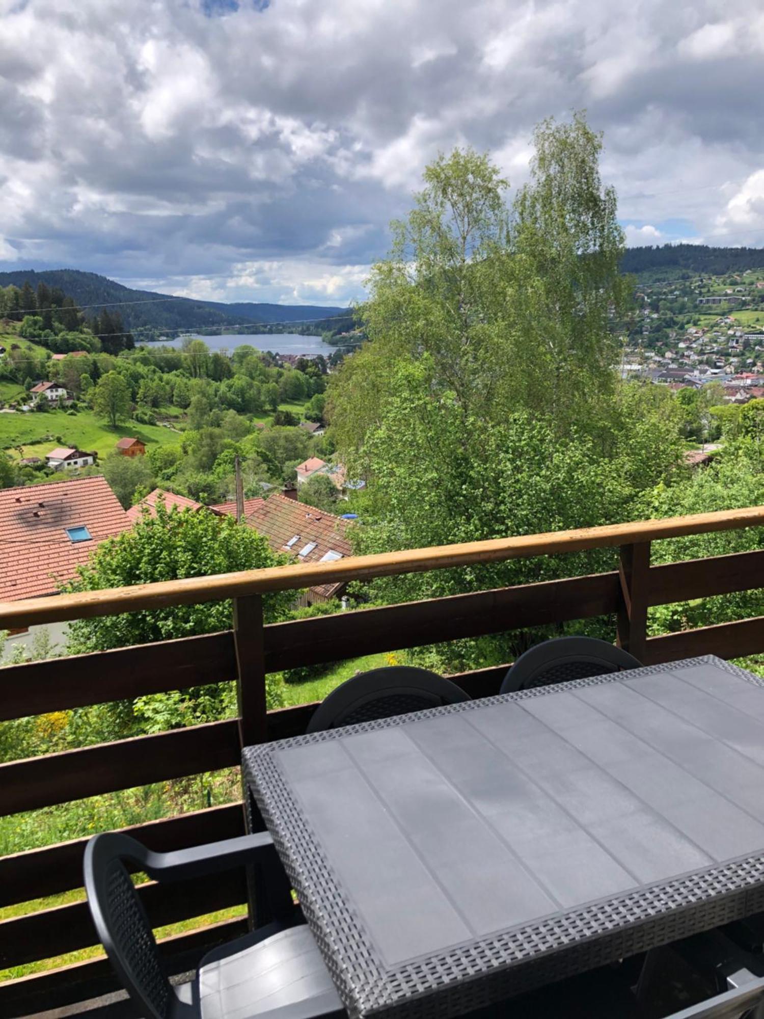 F3 Superbe Vue Lac, Grand Balcon, Ambiance Nature Gérardmer Exterior foto