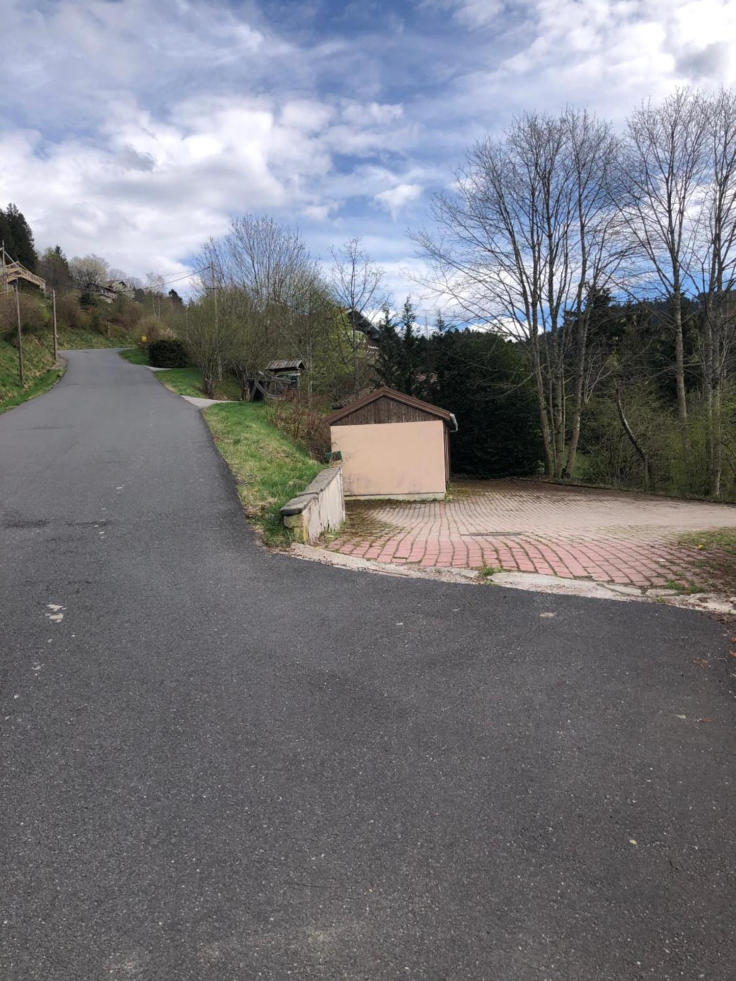 F3 Superbe Vue Lac, Grand Balcon, Ambiance Nature Gérardmer Exterior foto